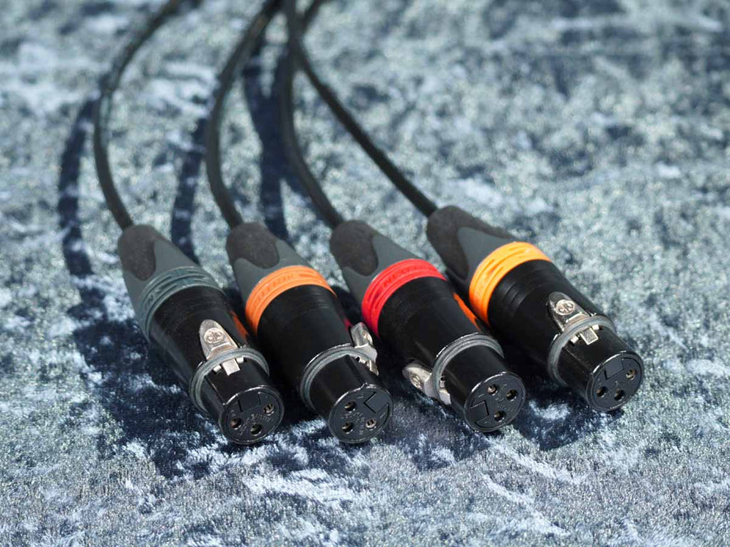 CAT Auflösung auf 4 x XLR female - NE8-XfXfXfXf