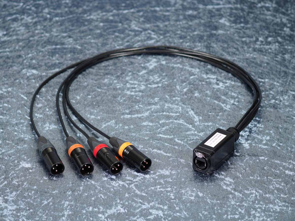 CAT Auflösung auf 4 x XLR male - NE8-XmXmXmXm