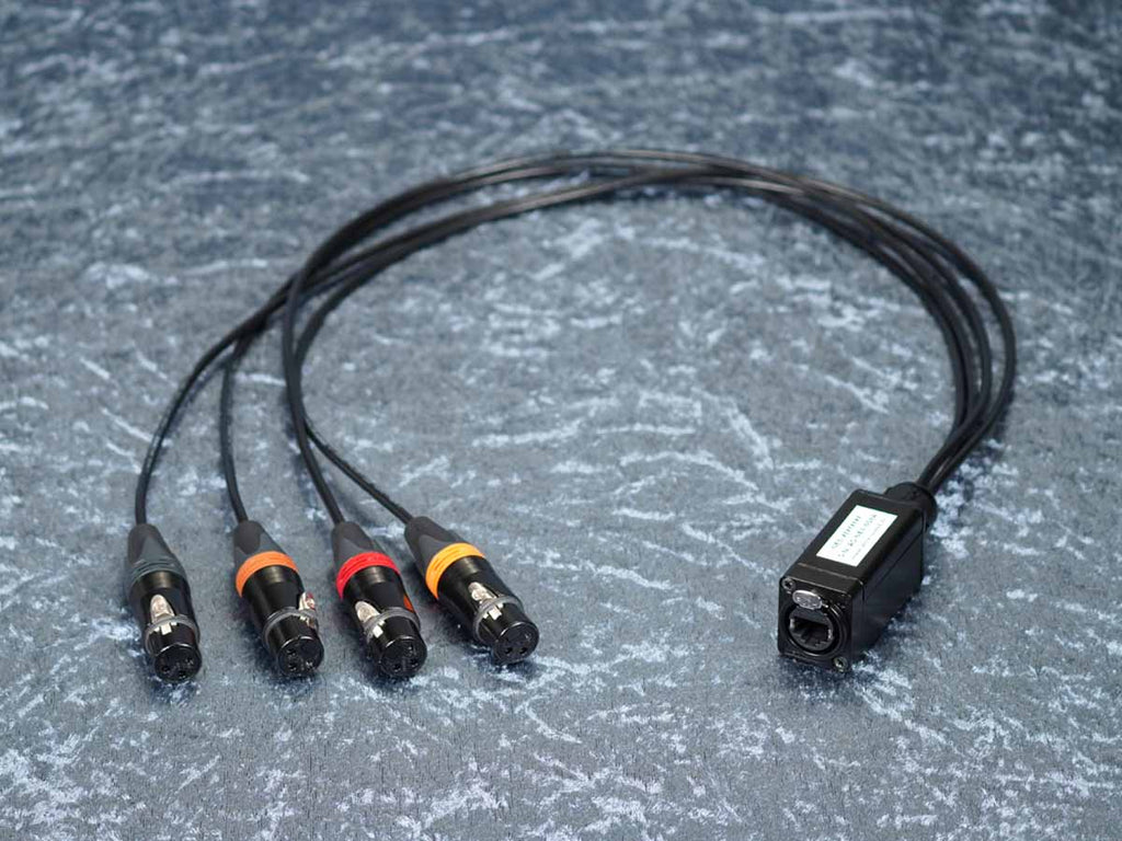 CAT Auflösung auf 4 x XLR female - NE8-XfXfXfXf