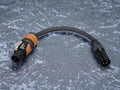 Kurzadapter Speakonbuchse auf XLR 3-Pol male - Sommer/Neutrik