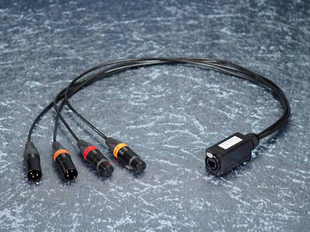 CAT Auflösung auf 4 x XLR male/female - NE8-XmXmXfXf